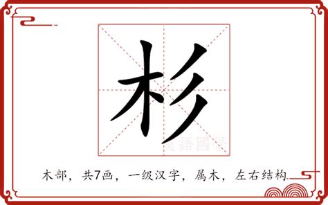 杉意思|杉的意思,杉的解释,杉的拼音,杉的部首,杉的笔顺